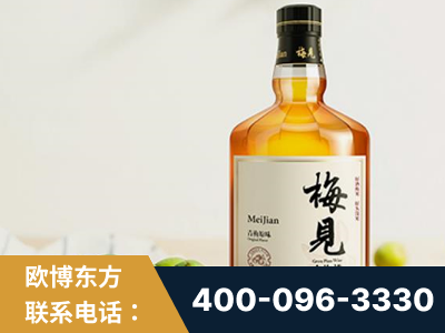 大冶-梅见青梅酒